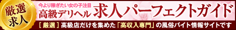 パーフェクトガイド
